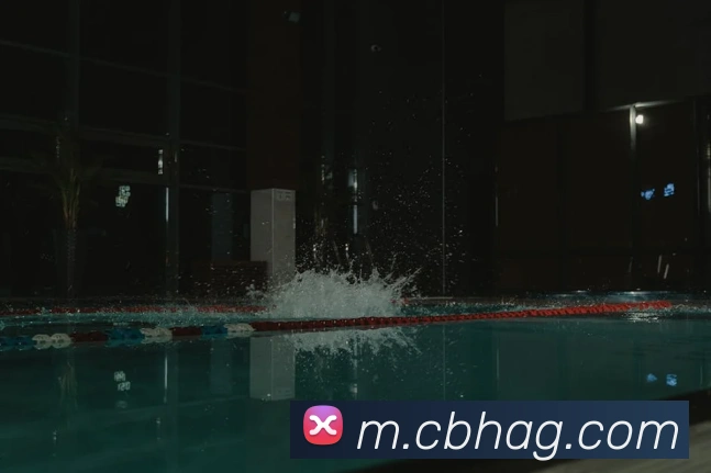 ag官网APP 封面图